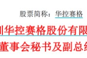 陕西华控赛格董事长、董秘、副总经理三高管同日辞职